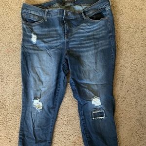 Torrid Jeans